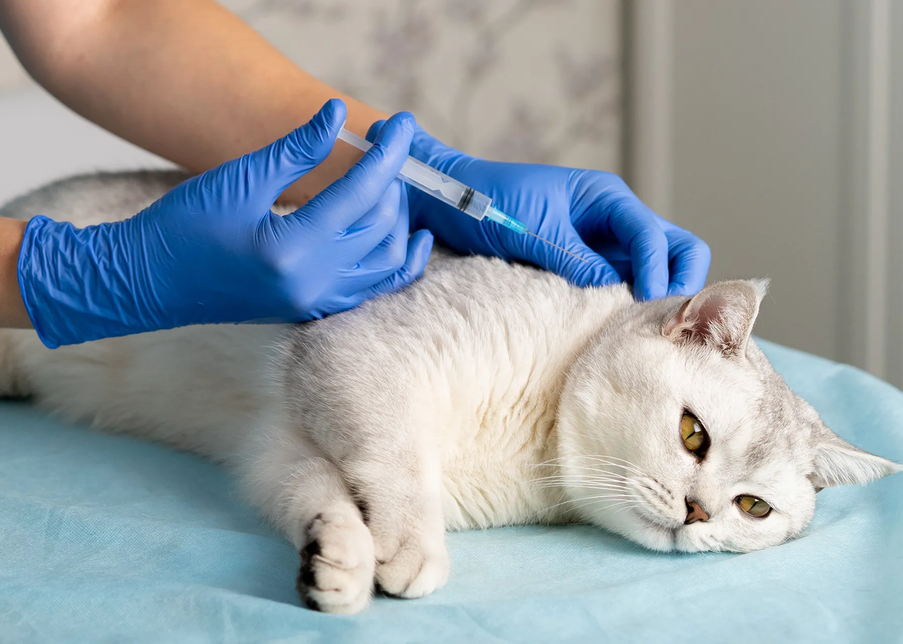 Картинка SEO блока