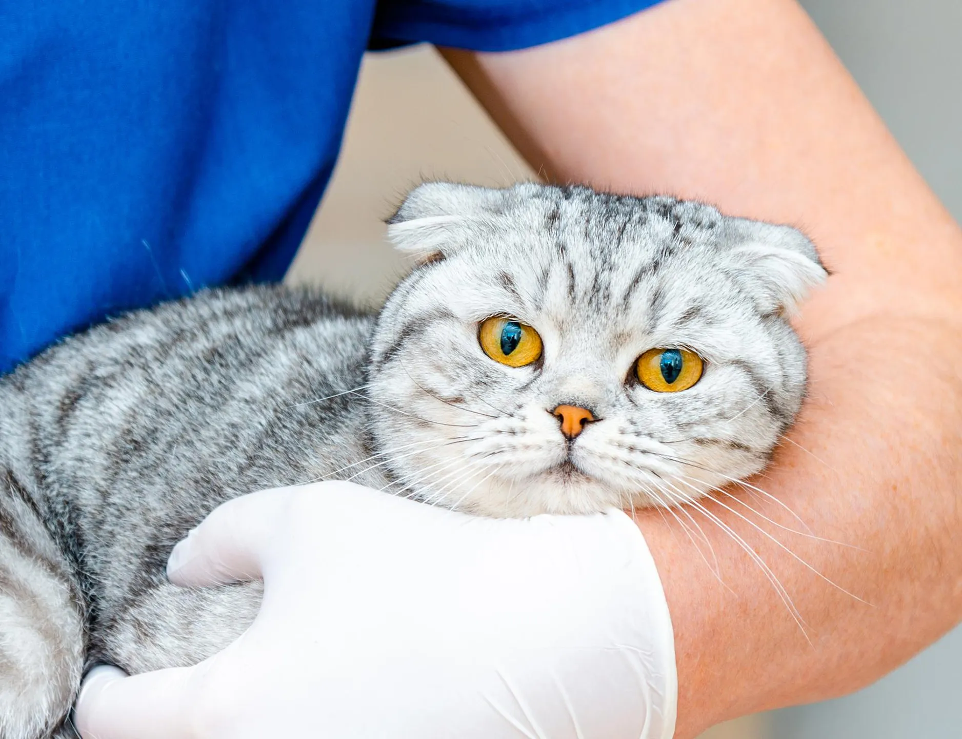 Картинка SEO блока