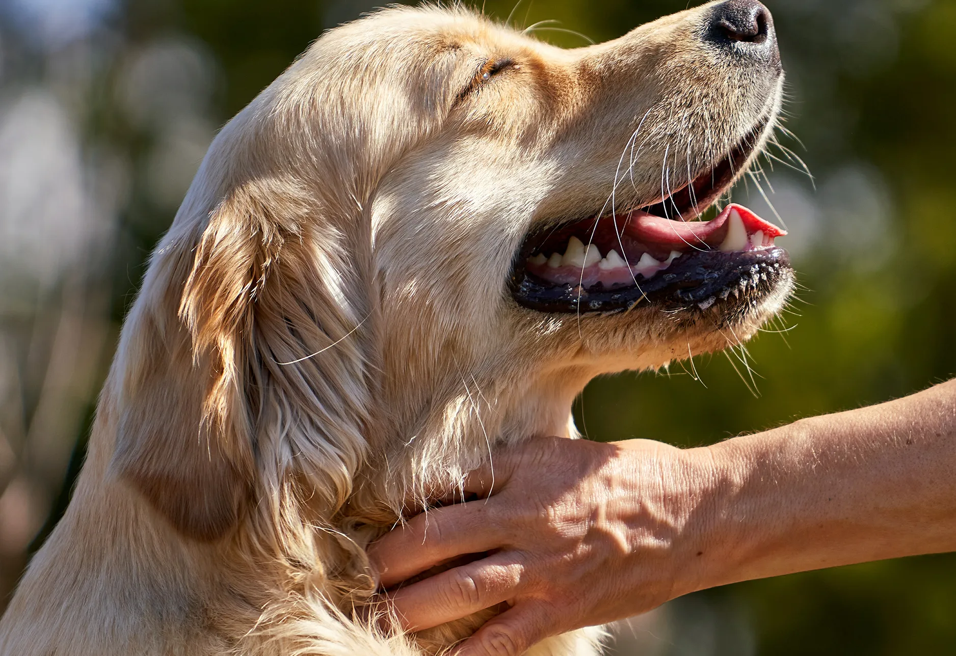 Вопросы и ответы