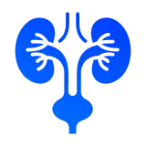 Мочекаменная болезнь (уролитиаз, кристаллурия)