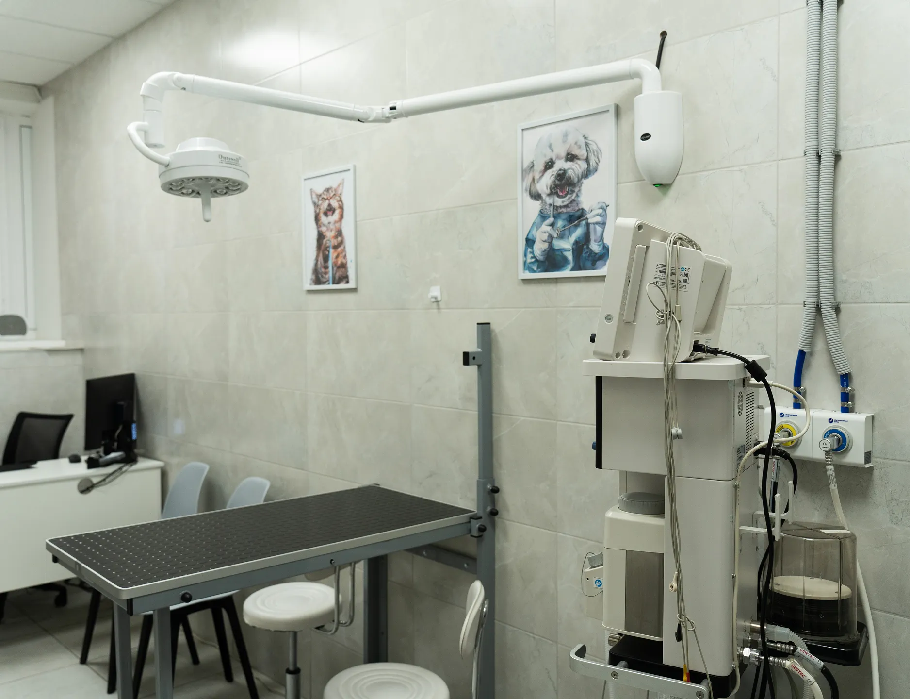 Клиенты пришли в ветклинику