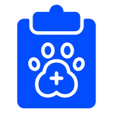 Оценка состояния питомца перед анестезий