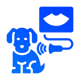 подозрение на беременность и определение количества плодов