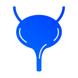 разрыв мочевого пузыря или уретры