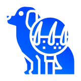 покраснение, шелушение, перхоть