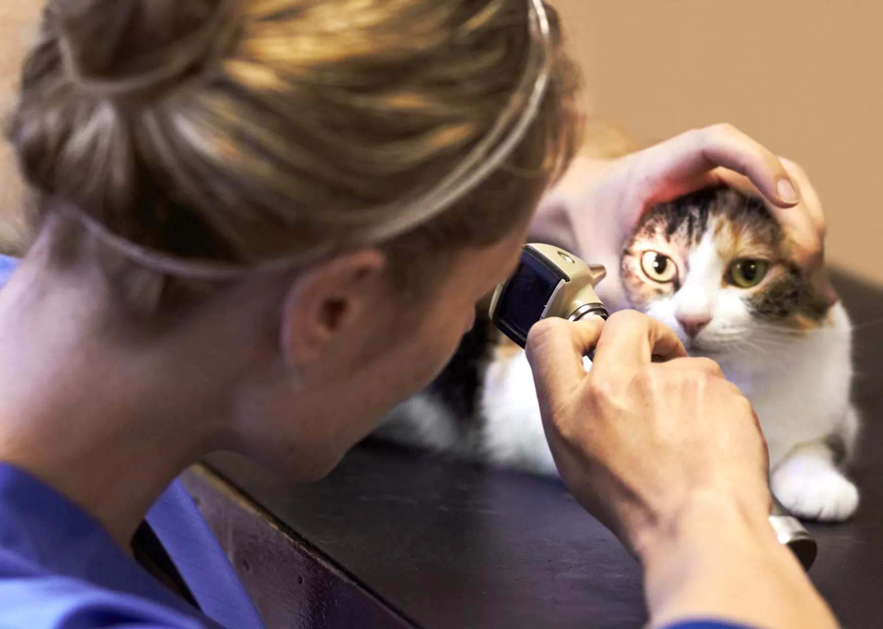 Картинка SEO блока