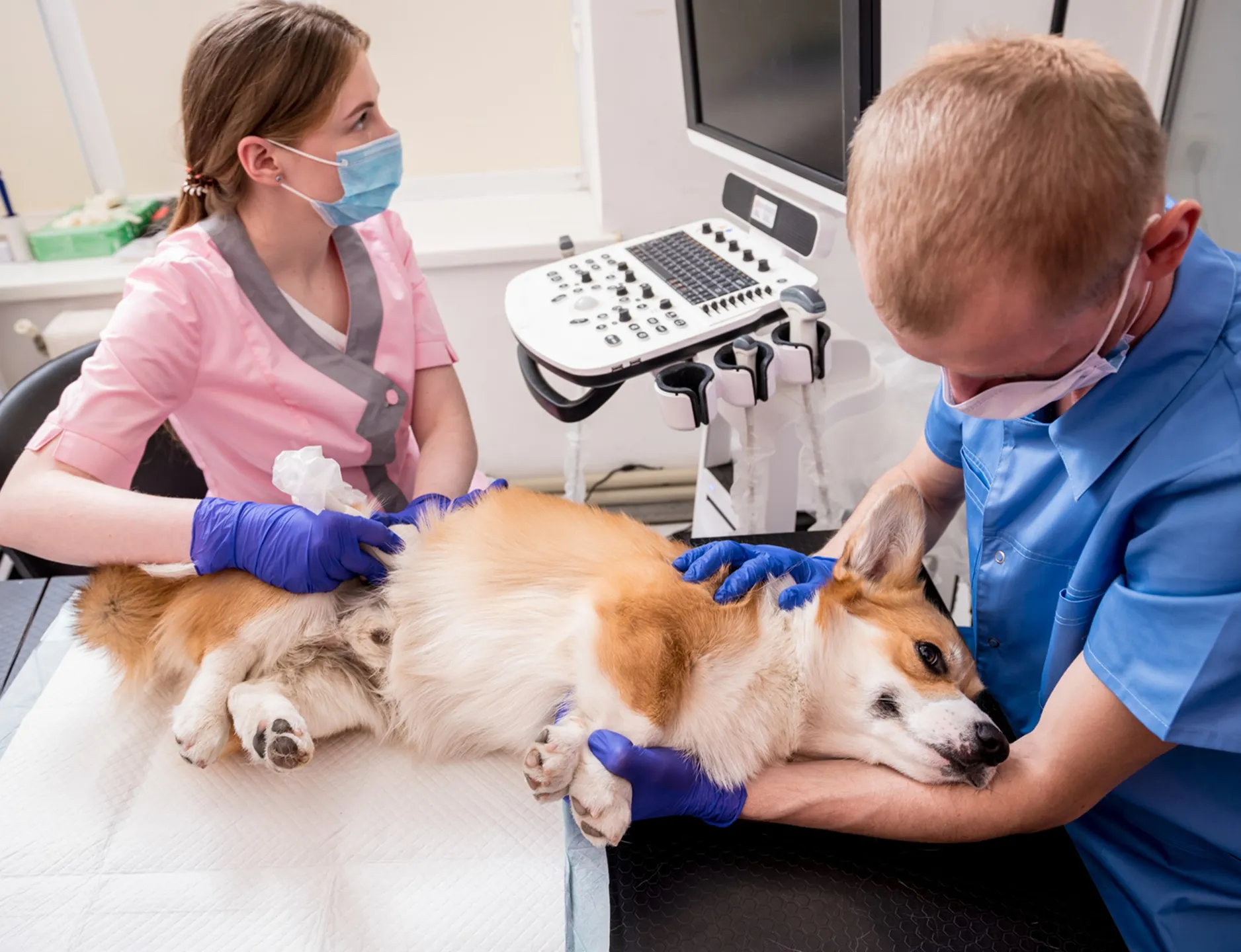 Картинка SEO блока