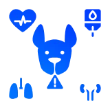 контроль хронических заболеваний (нефрит, гепатит, панкреатит)