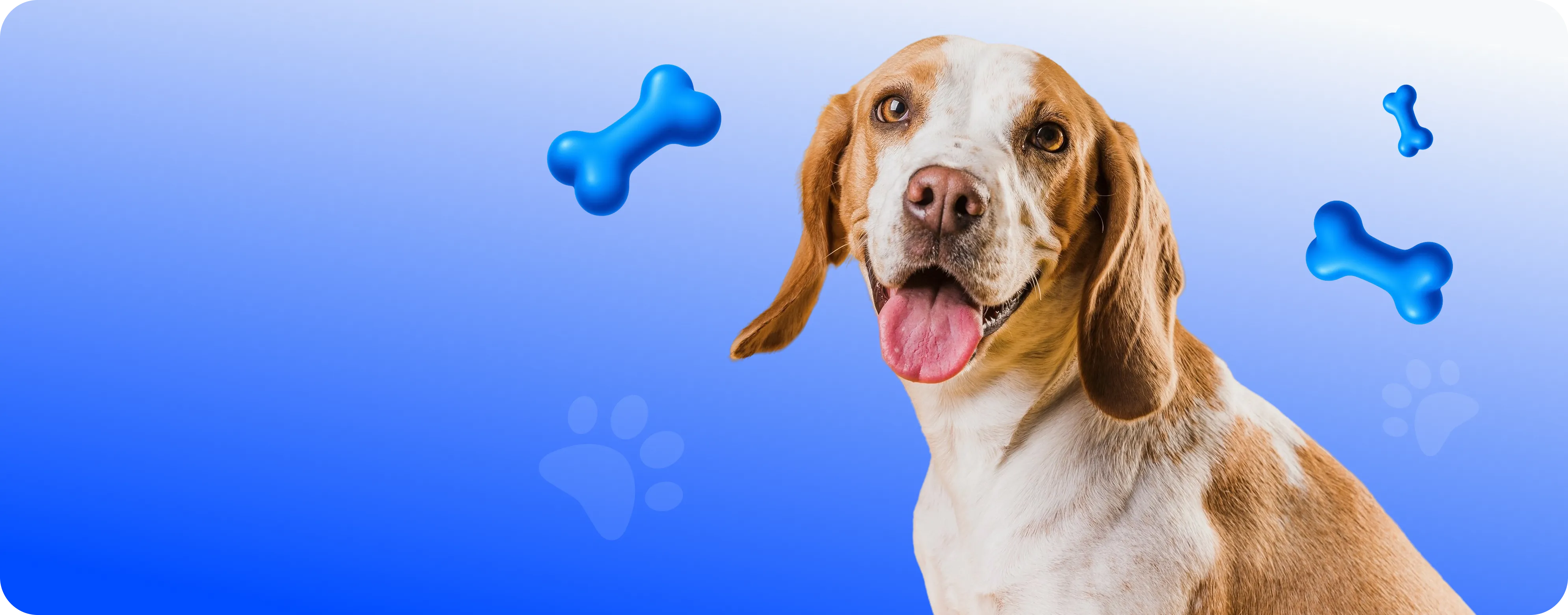 Белавета — наше новое имя с 25 летним опытом.