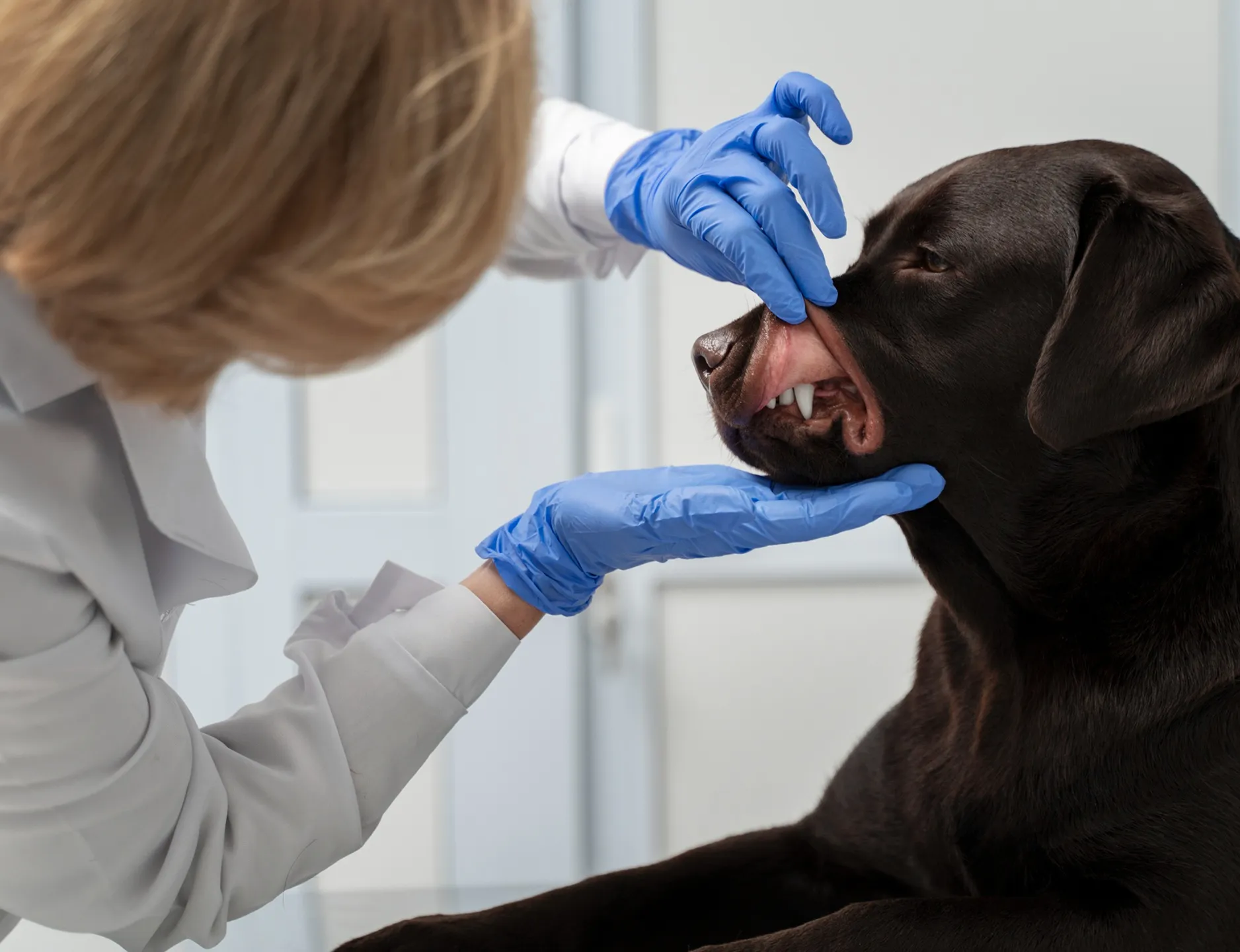 Картинка SEO блока