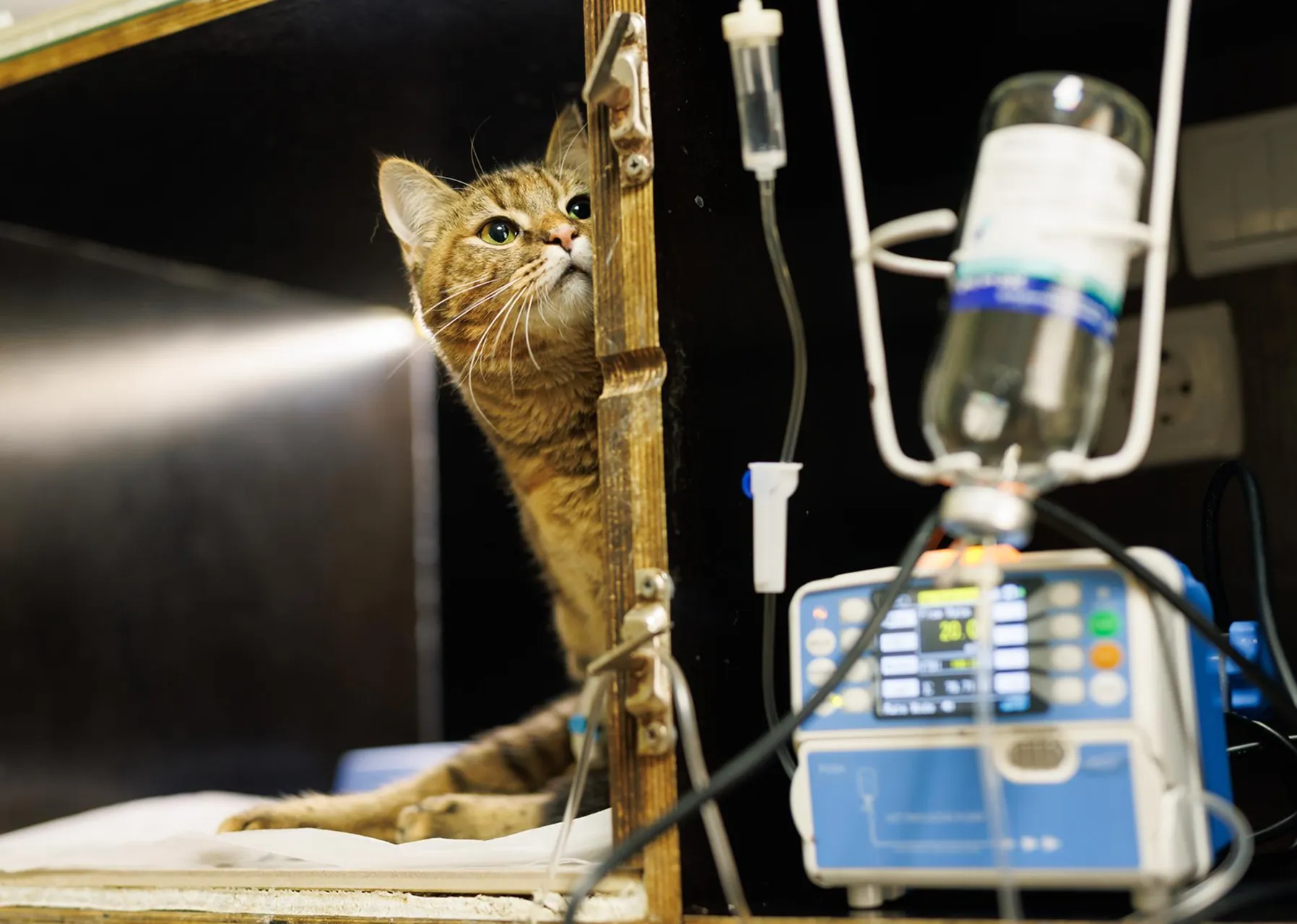 Картинка SEO блока