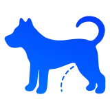 Болезненное мочеиспускание