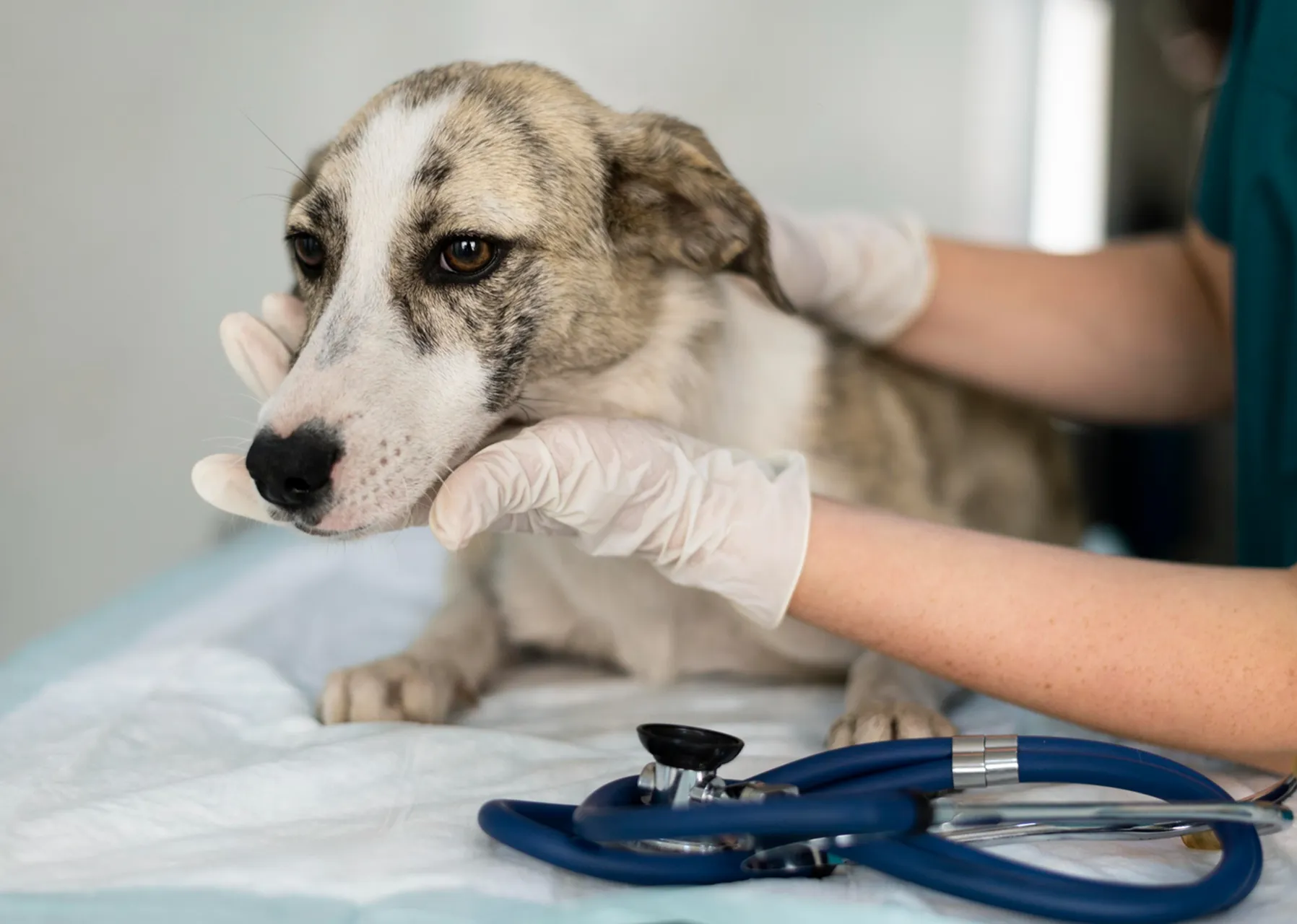 Картинка SEO блока