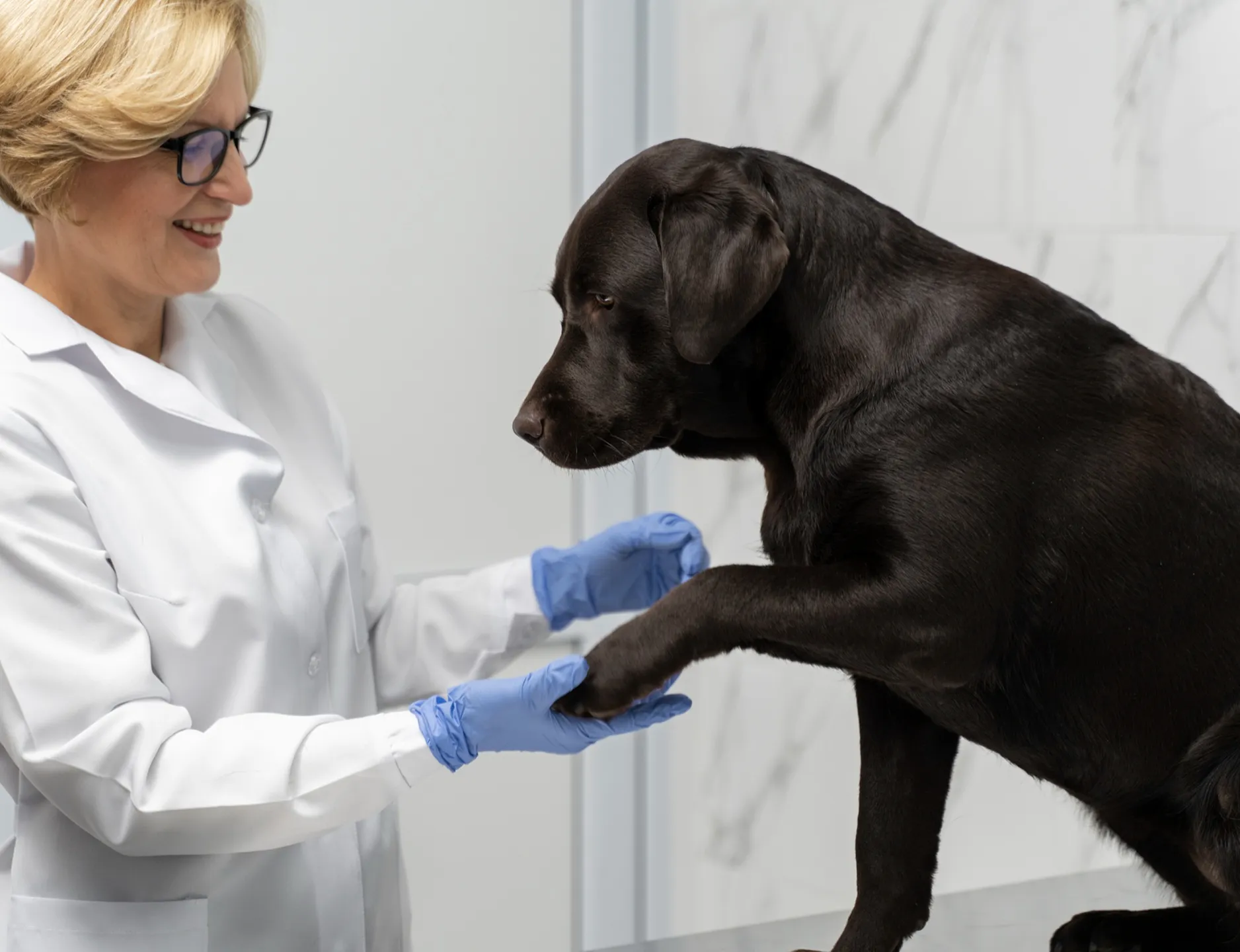 Картинка SEO блока