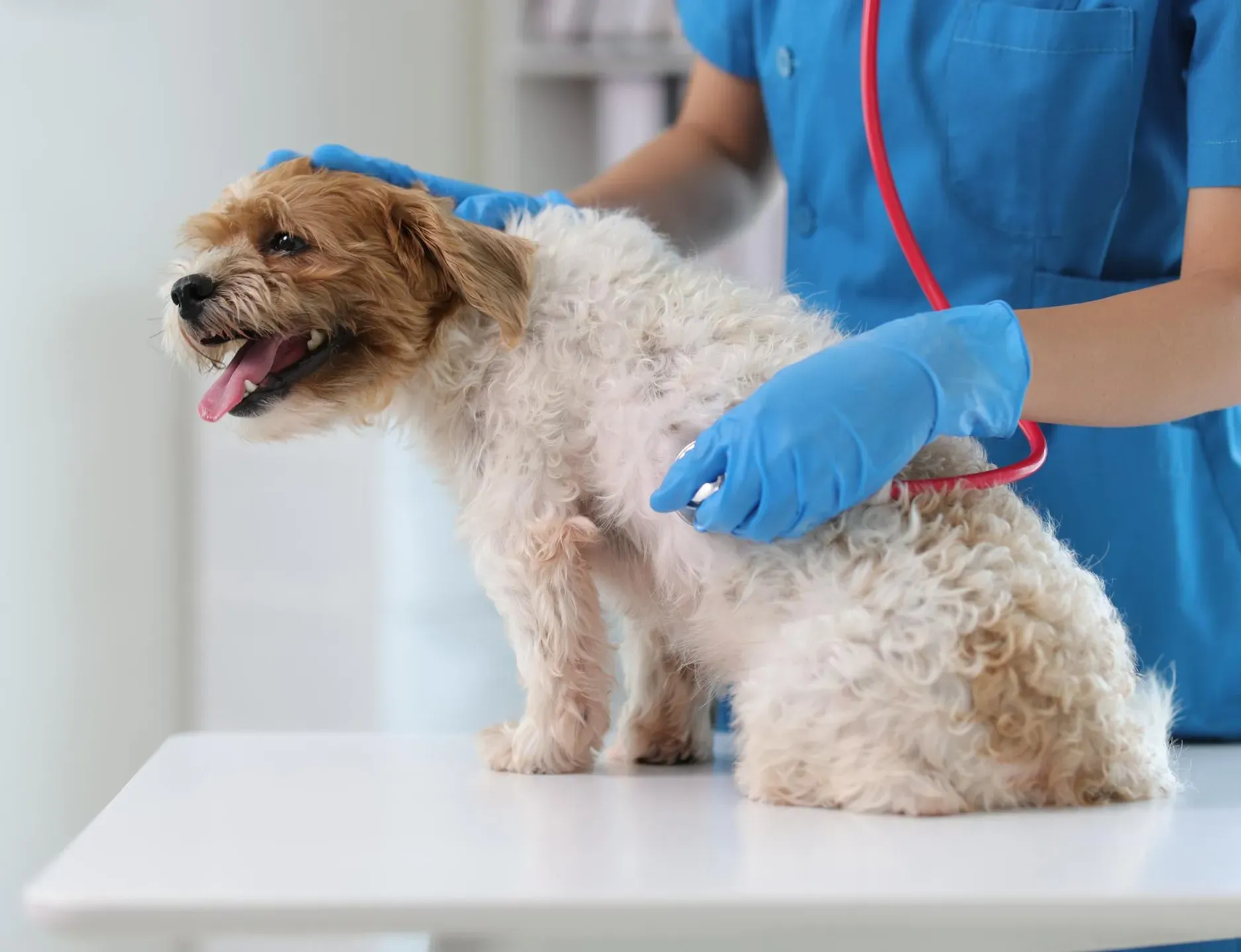 Картинка SEO блока