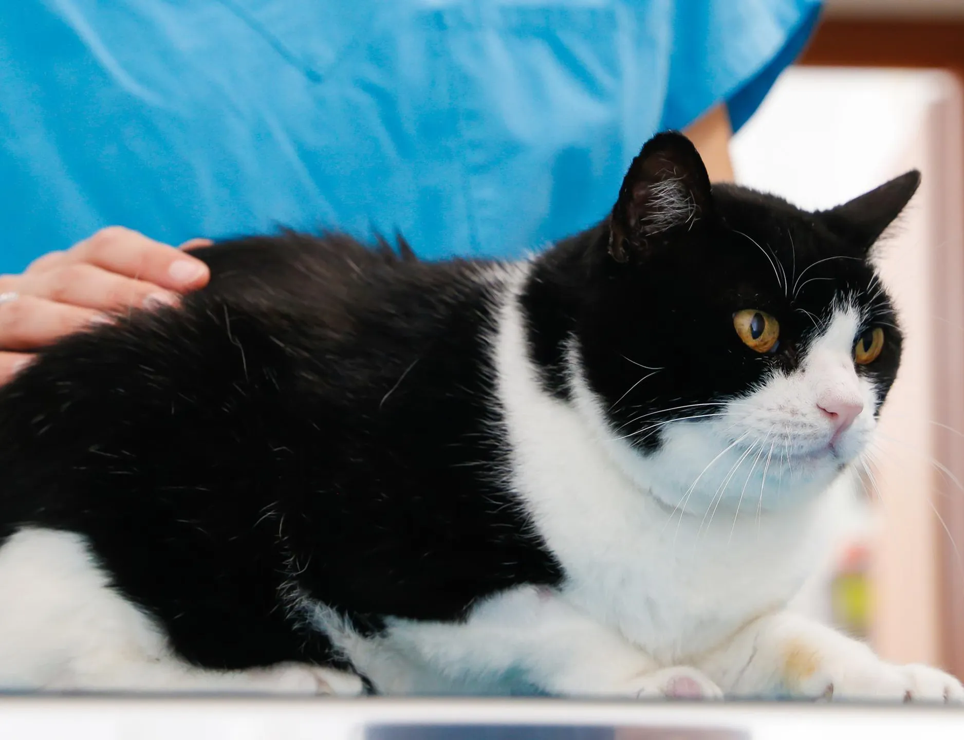 Картинка SEO блока