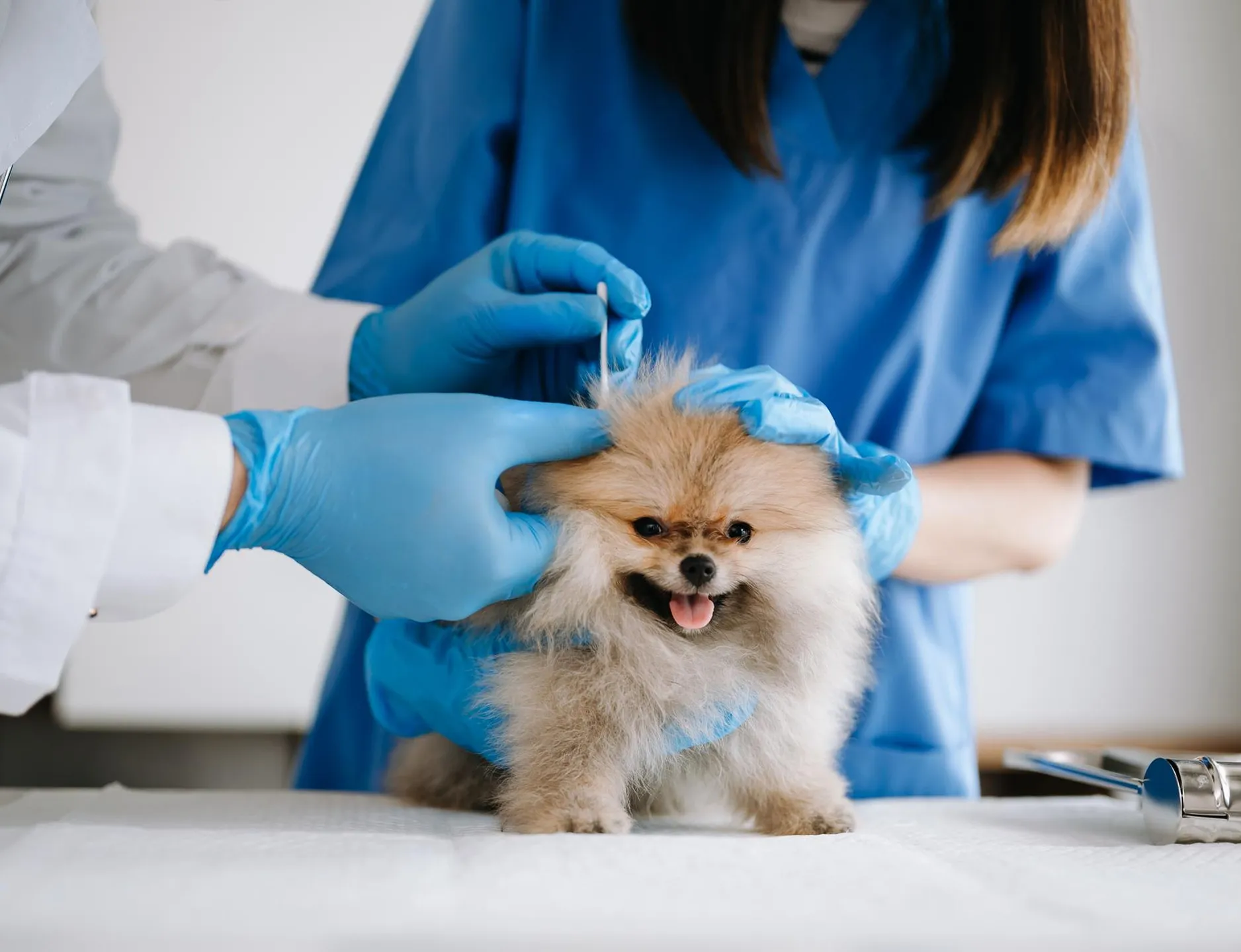 Картинка SEO блока