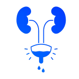 мочекаменная болезнь