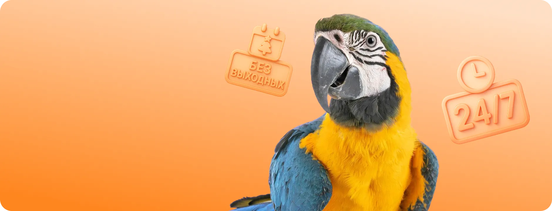 Работаем без выходных и перерыва на обед 24/7