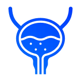 патологии мочевого пузыря