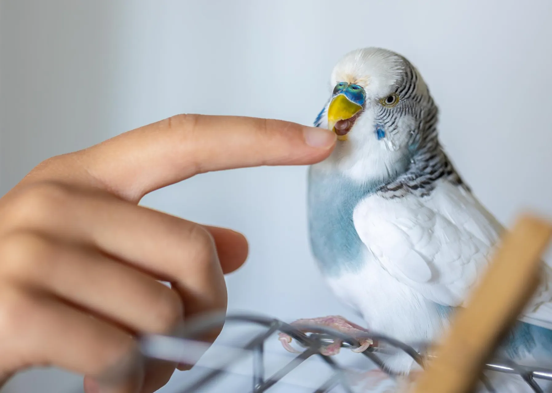 Картинка SEO блока