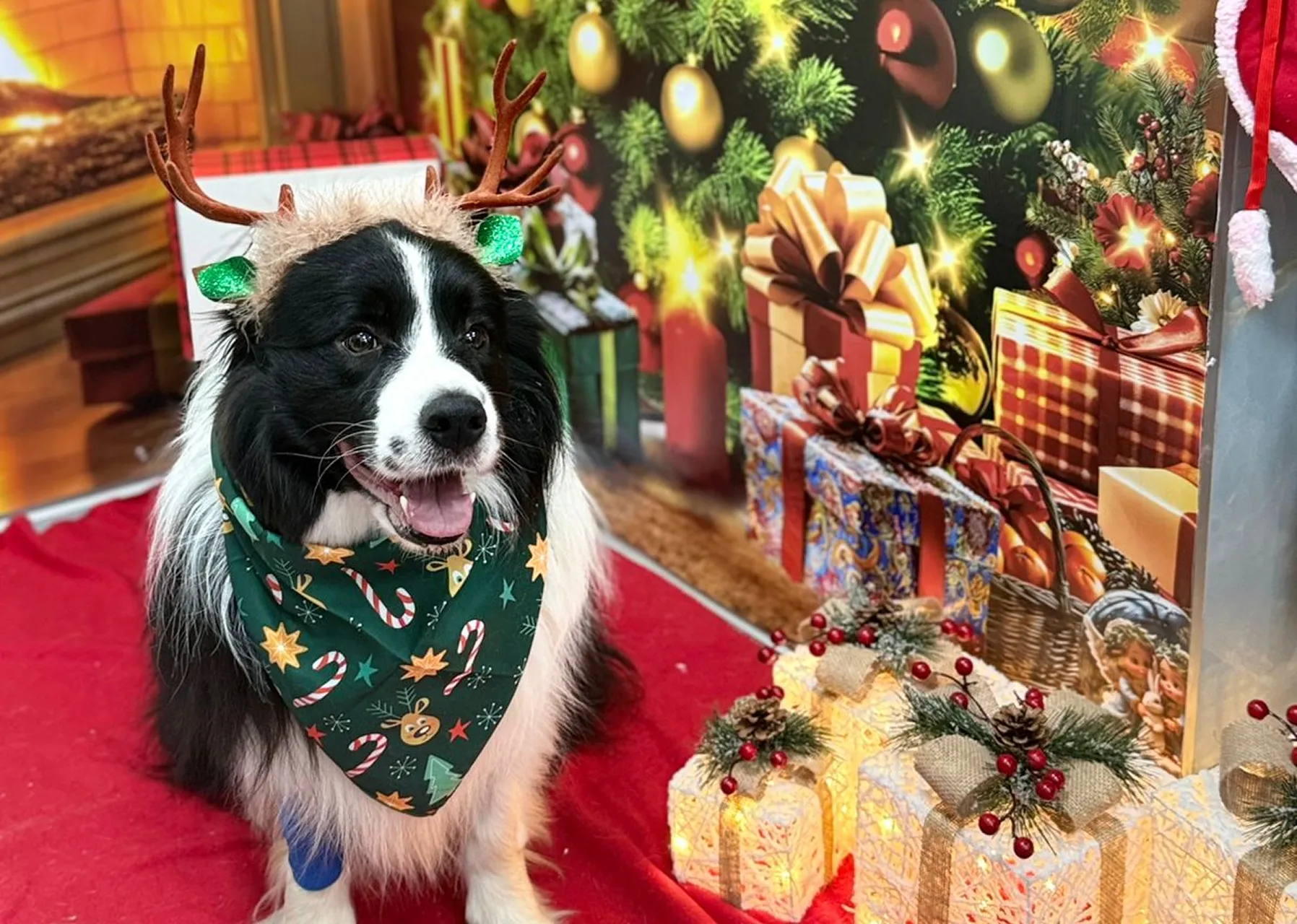 Запечатлейте праздник — получите скидку 15%