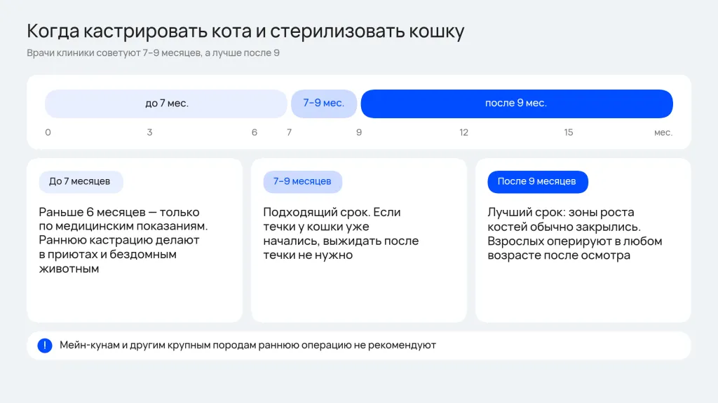 В каком возрасте кастрировать кота и стерилизовать кошку