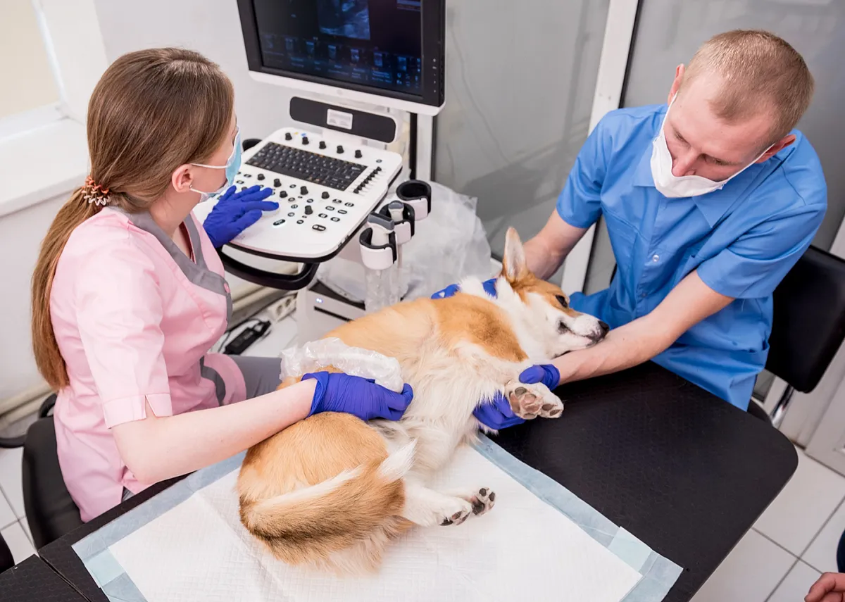 Картинка SEO блока