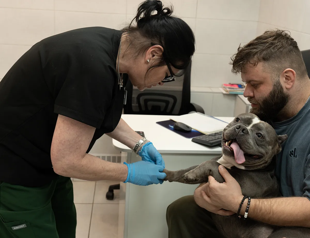 Как проходит приём?