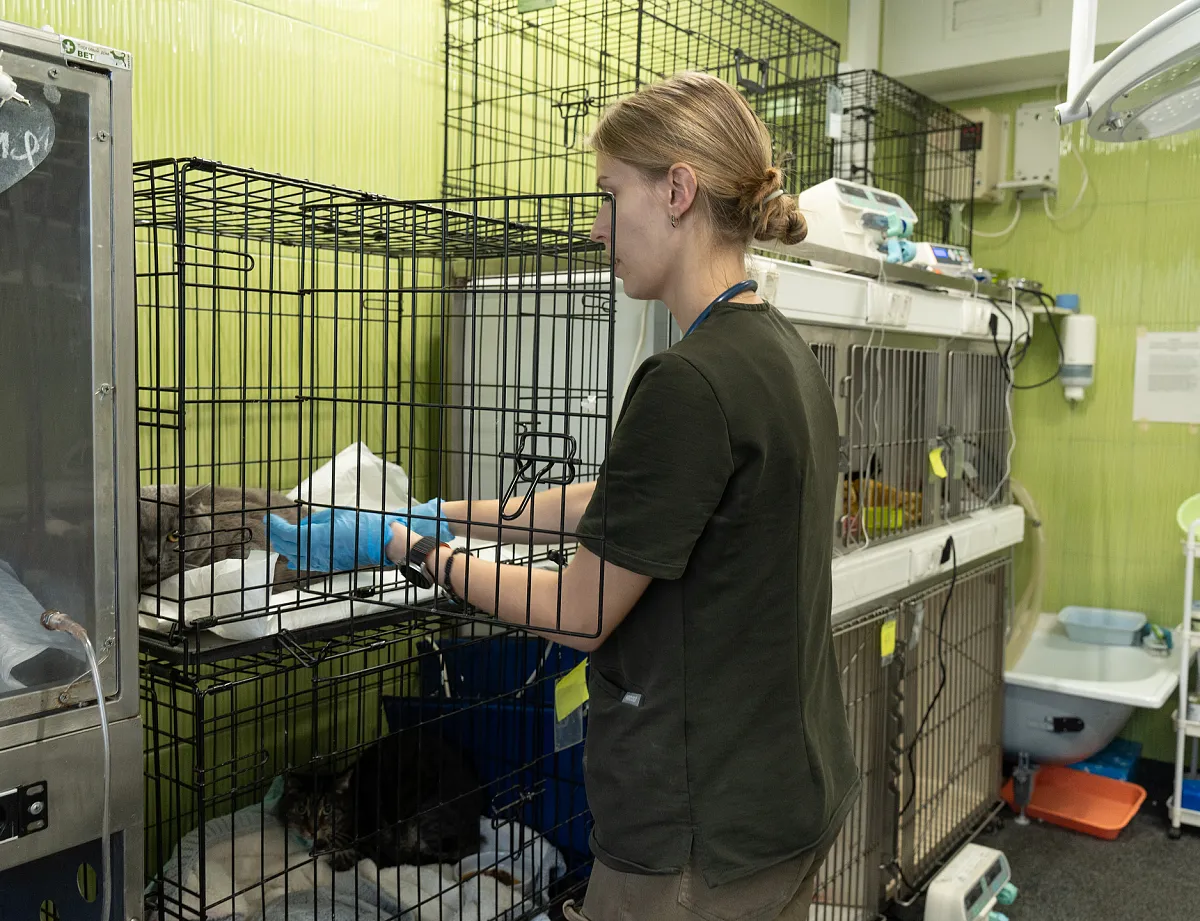 Диспансеризация (Чек-АП)