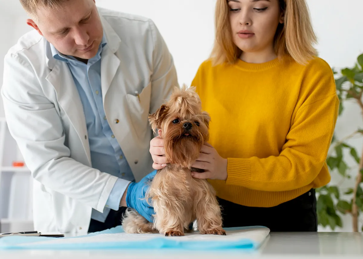 Картинка SEO блока