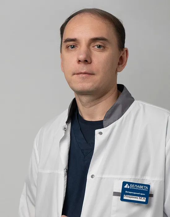 Лощинин Максим Николаевич