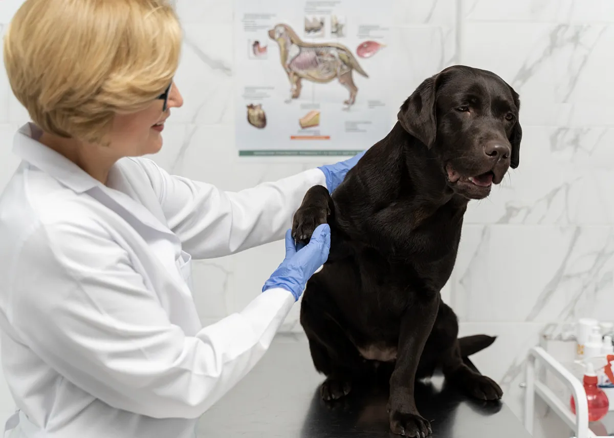 Неврология