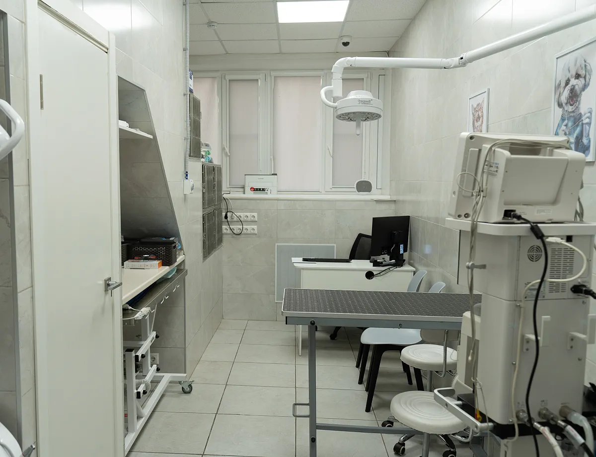 Как проходит приём?