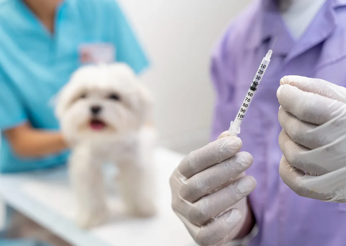 Картинка SEO блока