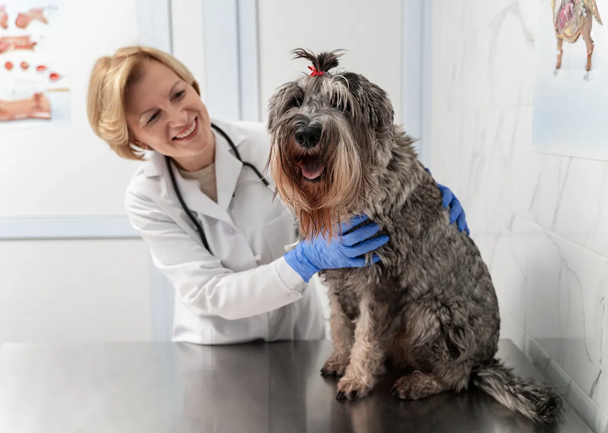 Эндокринология