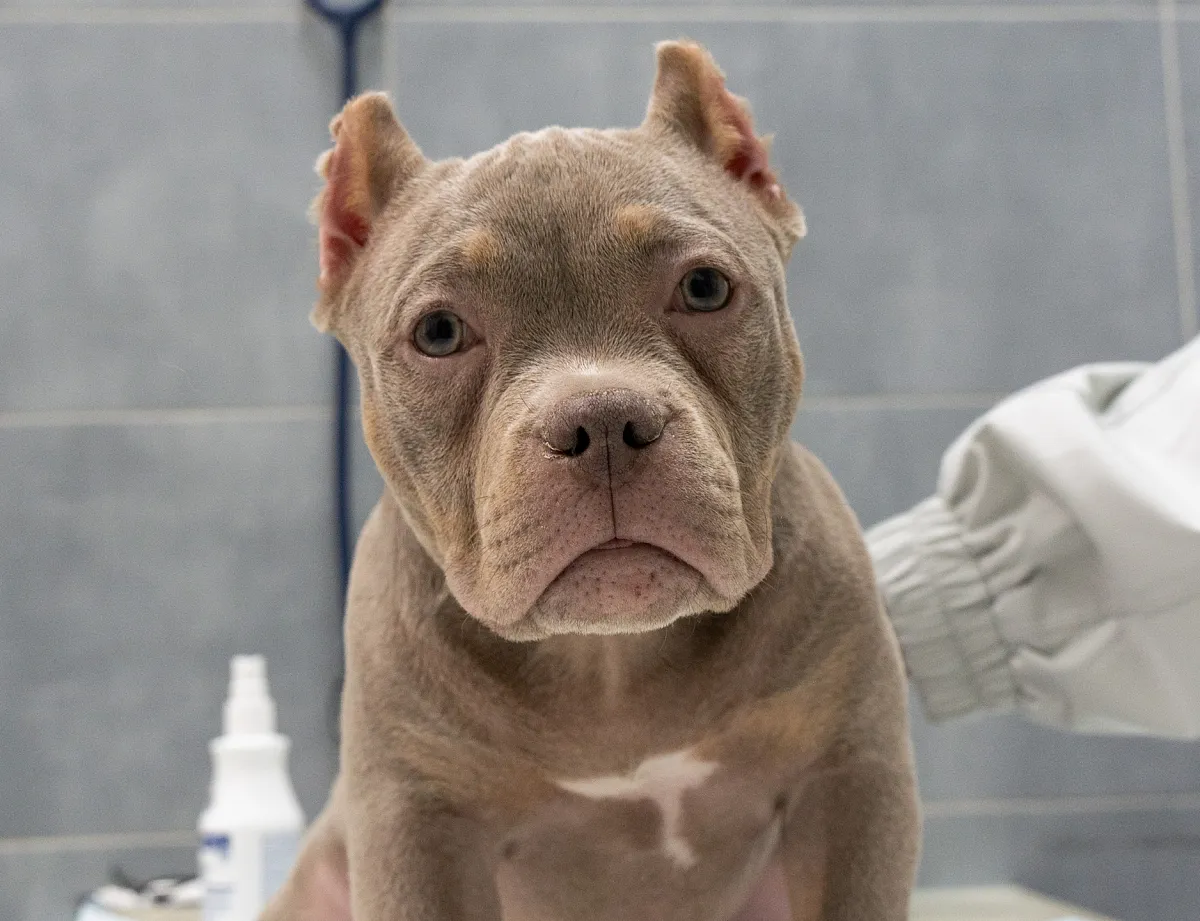 Как проходит приём?