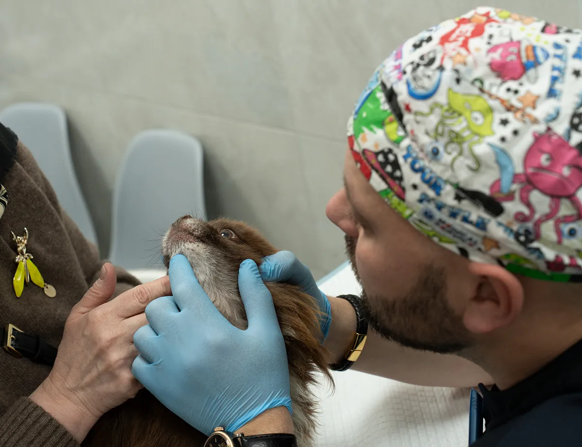 Как проходит приём?