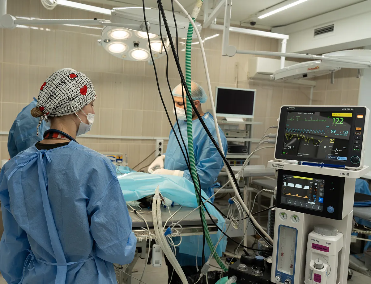 Картинка SEO блока