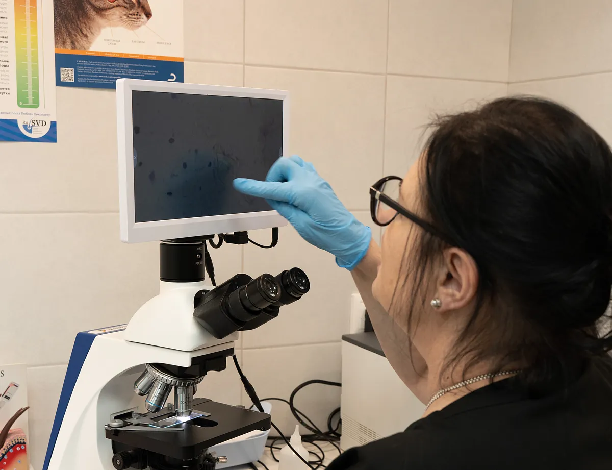 Как проходит приём?