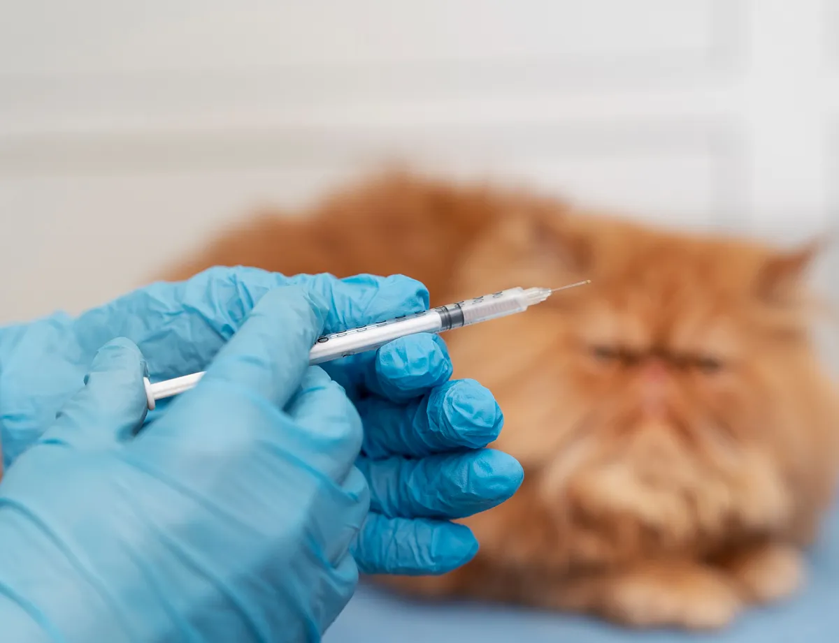 Эвтаназия (только по показаниям)