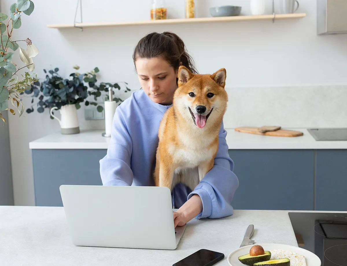 Картинка SEO блока