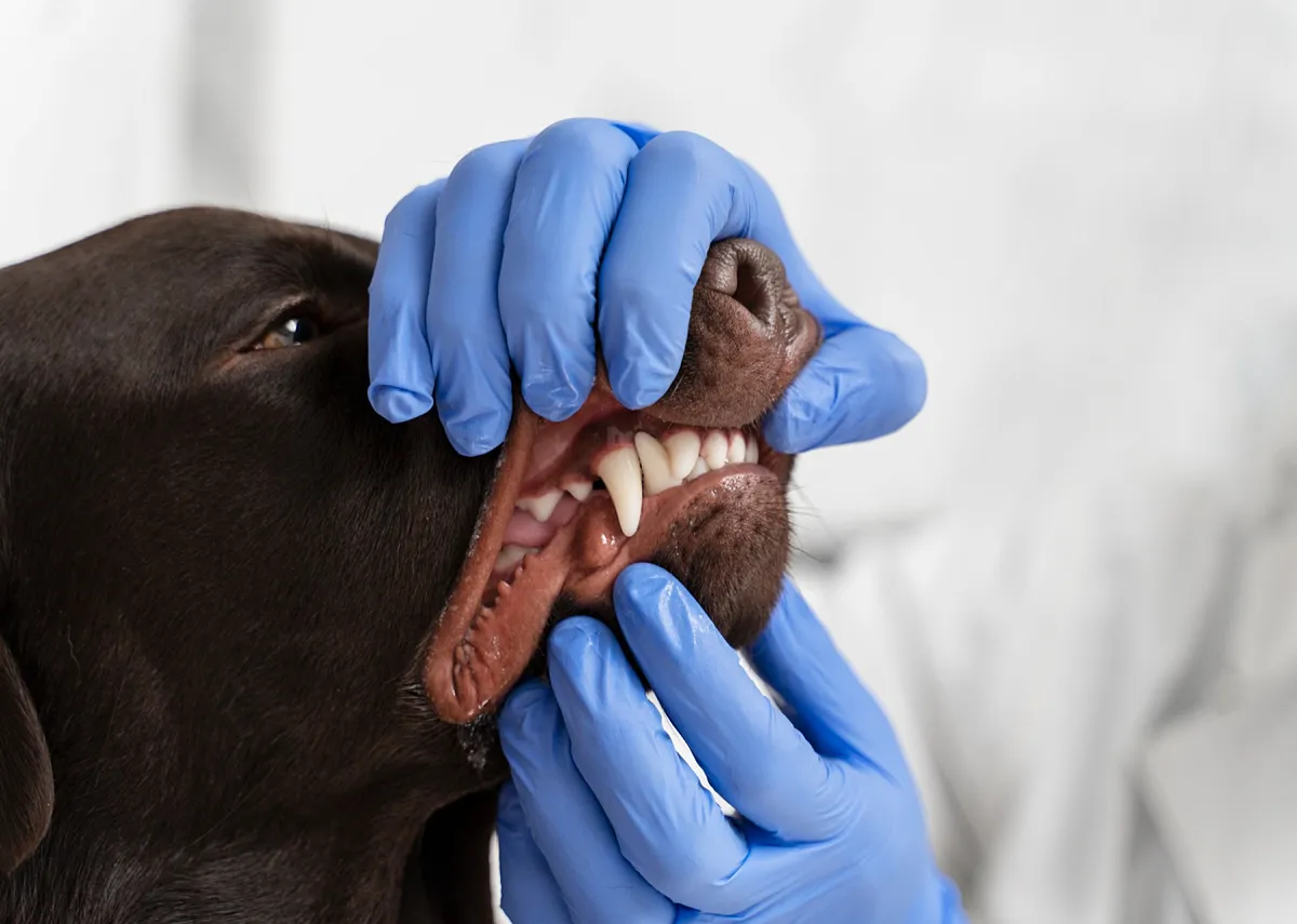 Картинка SEO блока