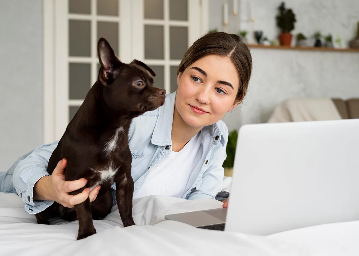 Как проходит консультация онлайн?