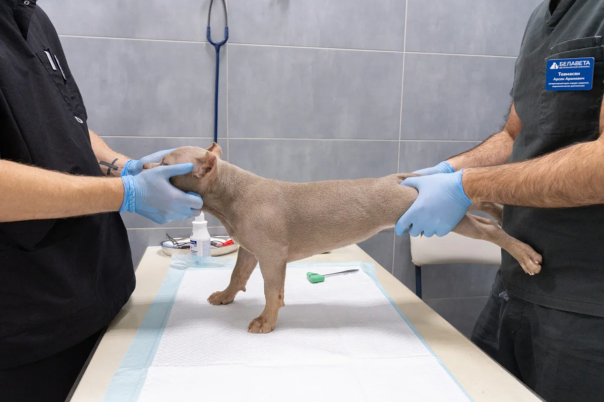 Как проходит приём?