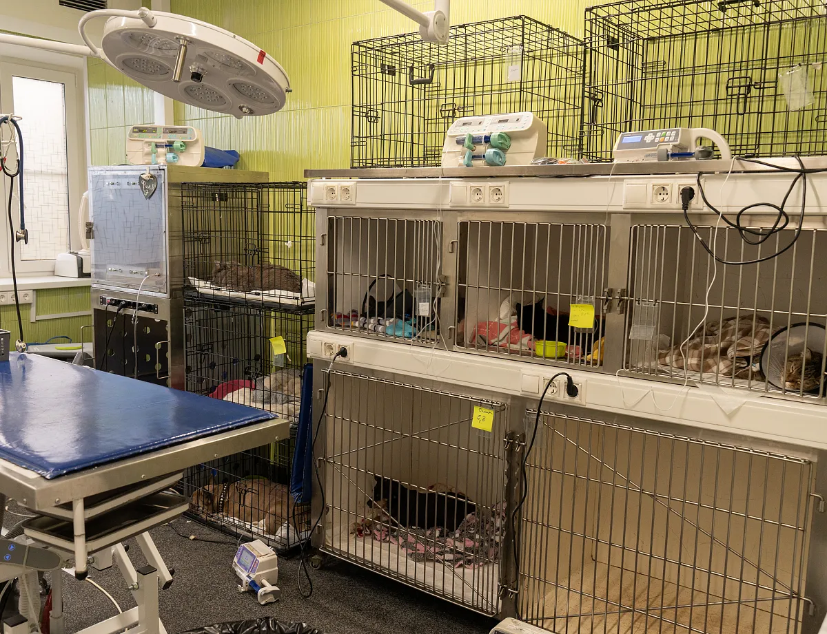 Картинка SEO блока