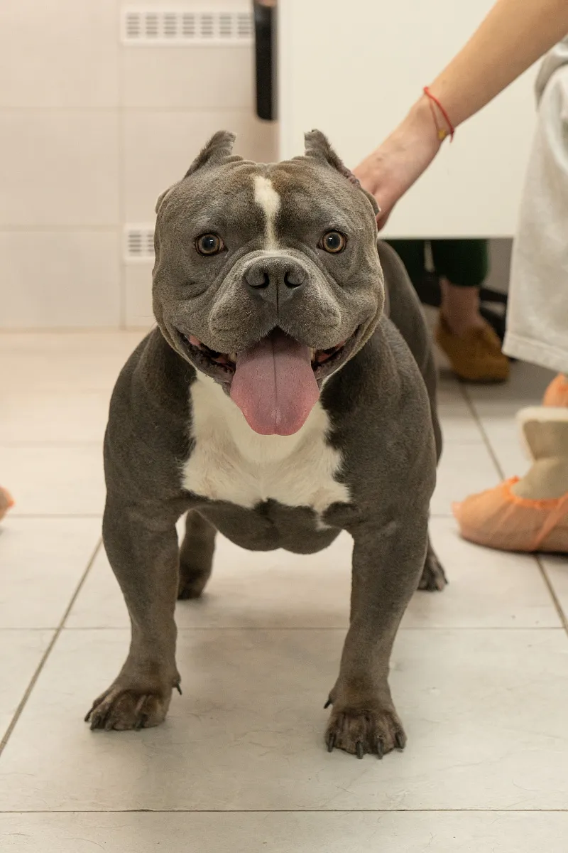 Как проходит приём?