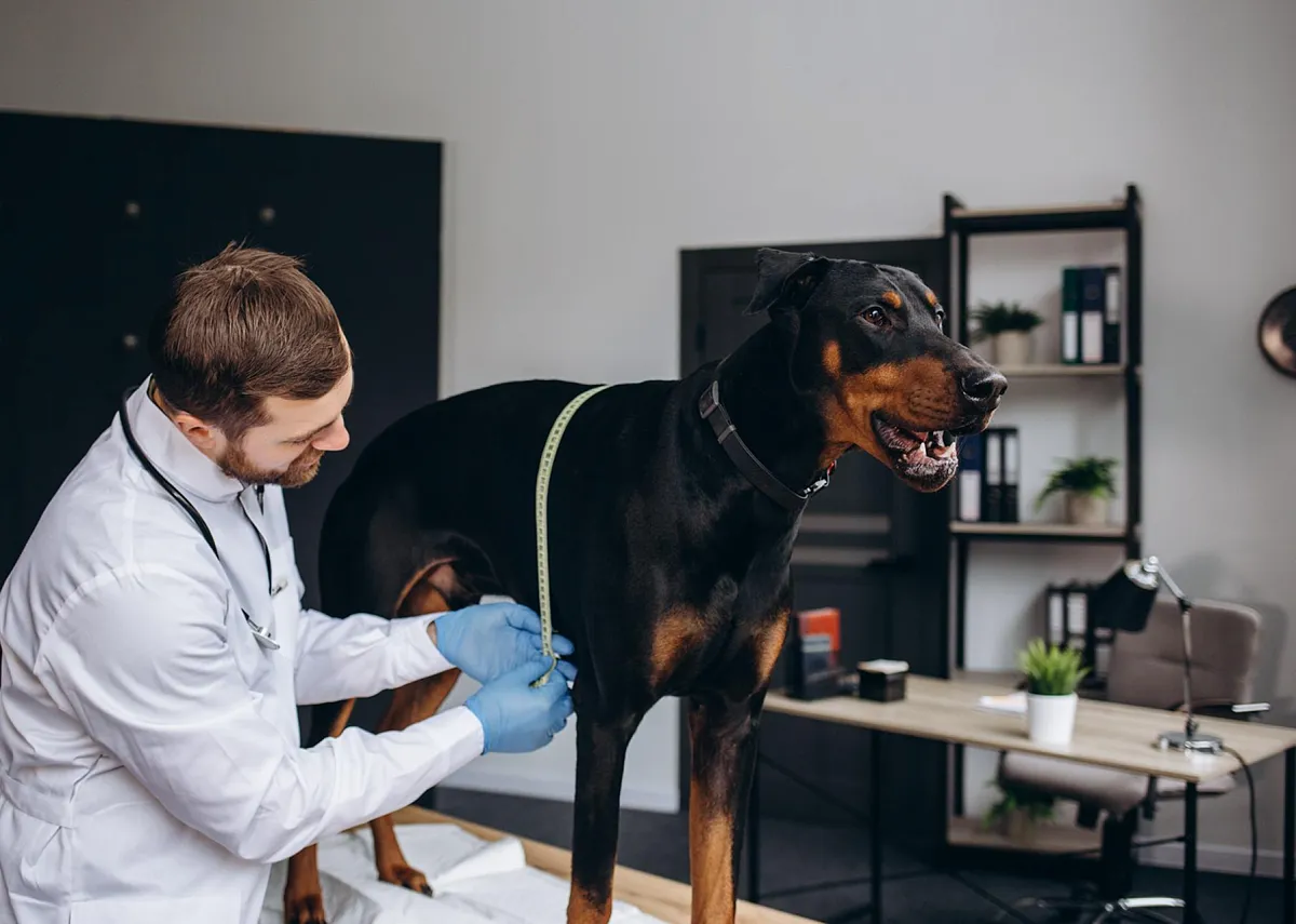 Картинка SEO блока