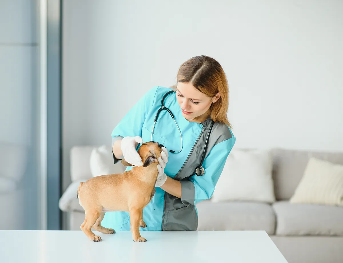 Как проходит приём?