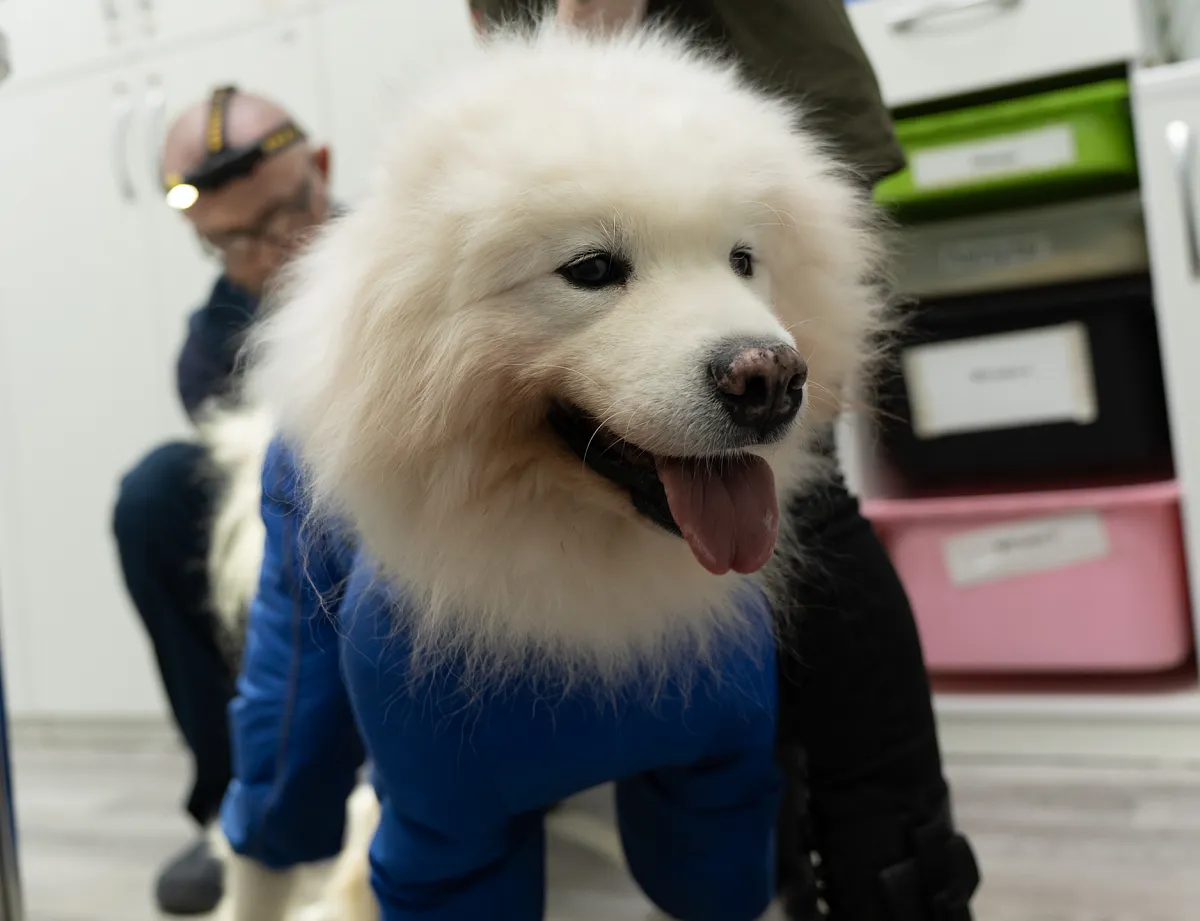 Как проходит приём?